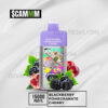 $CAMM AS 15000 Puffs Blackberry Pomegranate Cherry 2 $CAMM AS 15000 Puffs Blackberry Pomegranate Cherry